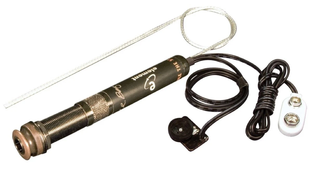 L.R. Baggs EAS-C